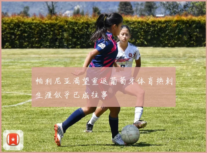 帕利尼亚渴望重返葡萄牙体育热刺生涯似乎已成往事