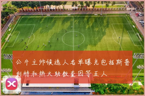公牛主帅候选人名单曝光包括斯普利特和热火助教奎因等五人