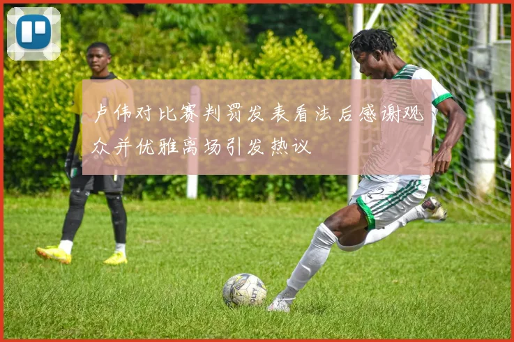 卢伟对比赛判罚发表看法后感谢观众并优雅离场引发热议